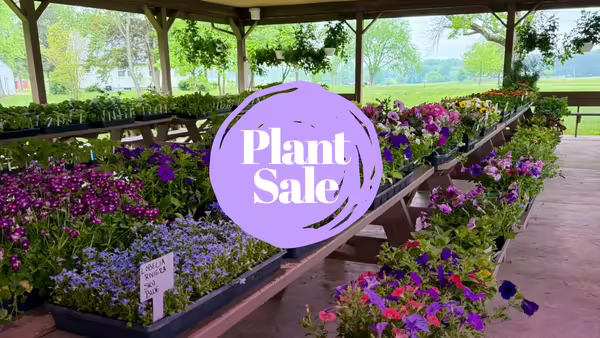 a variety of plants with the text that says Plant Sale 
