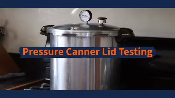 Pressure canner sitting on stovetop