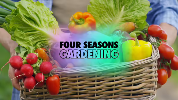 Close up of a basket filled with a color arrangement of vegetables being held by a person