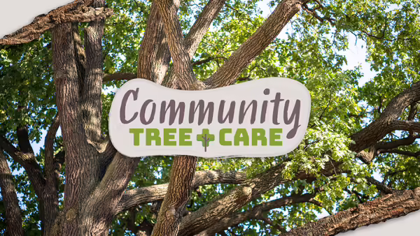 Community Tree Care