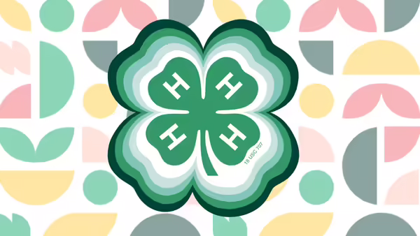 4-H clover