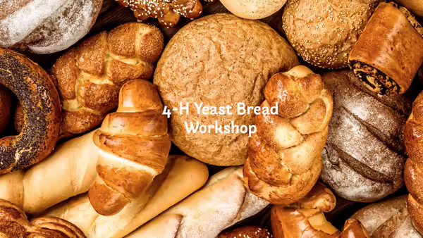 yeast breads. 4-H yeast bread workshop