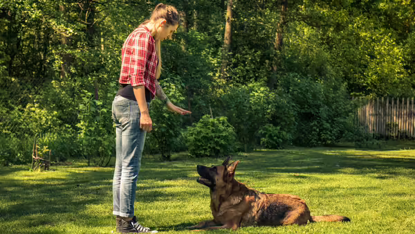 A girl holding her hand out while a dog is laying down outside