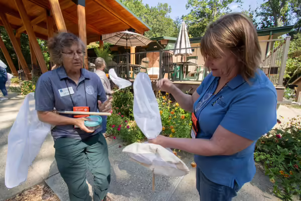 Two Master Gardener volunteers holding bug nets