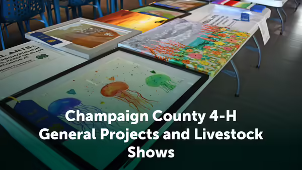 Champaign County 4-H General Projects text over table with artwork
