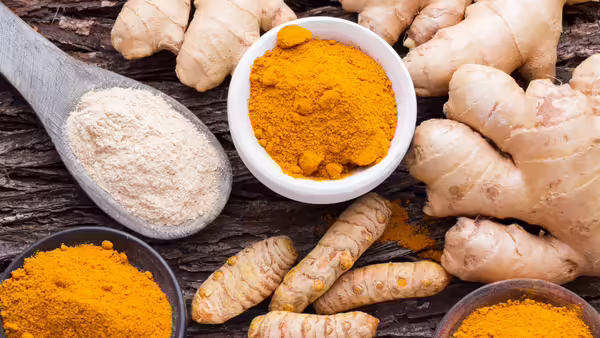 Ginger and turmeric ground and in spoons with fresh ginger nearby.