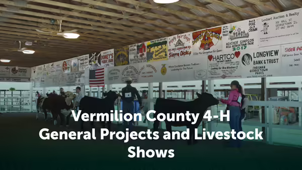 Iroquois County 4-H General Projects and Livestock Shows