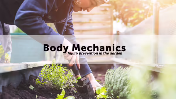 Woman gardening in raised bed