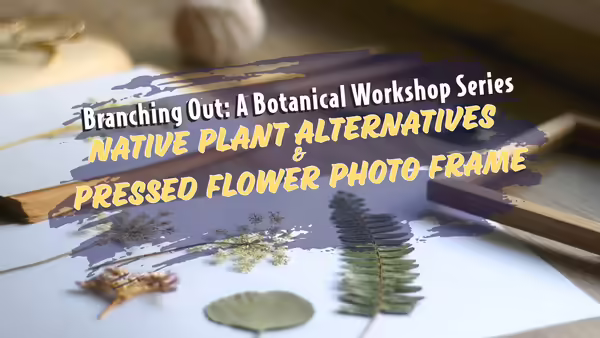 leaves and herbs ready for pressing