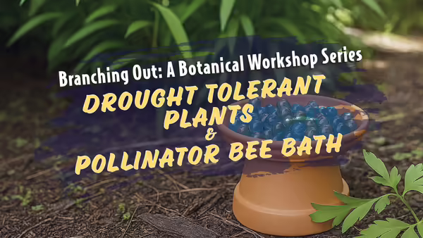 Bee Bath made with beads and terra cotta planter