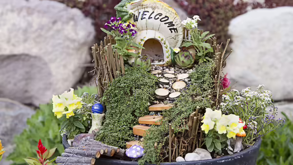 fairy garden