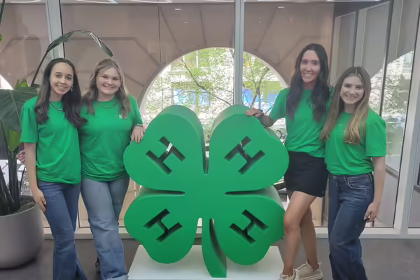 Delegates pose in green tees by a giant clover.