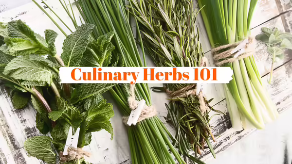 Fresh herbs on a tray