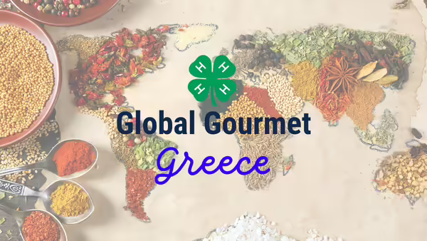 Different world spices in the shape of the countries. 