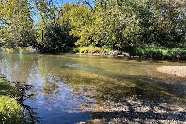 River with greenery