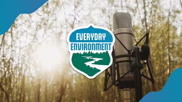 A microphone in a forest, the Everyday Environment logo