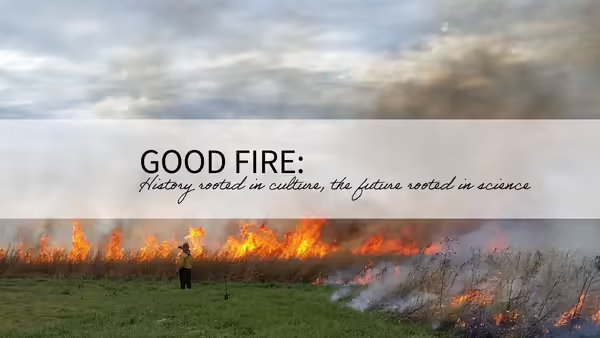 a controlled burn fire