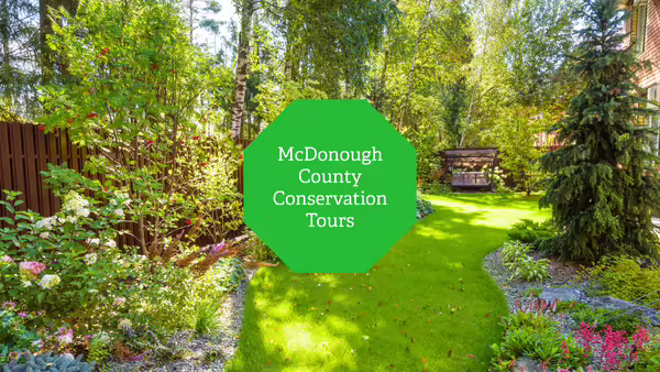 A beautifully landscaped yard with flowers, trees, and shrubs.