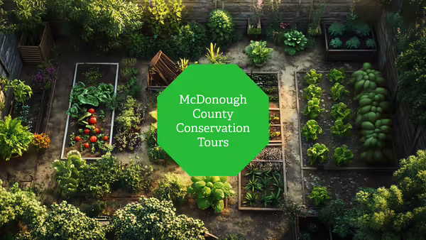Aerial view of a community garden