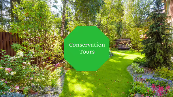 A backyard filled with blooming plants, tress, and shrubs.