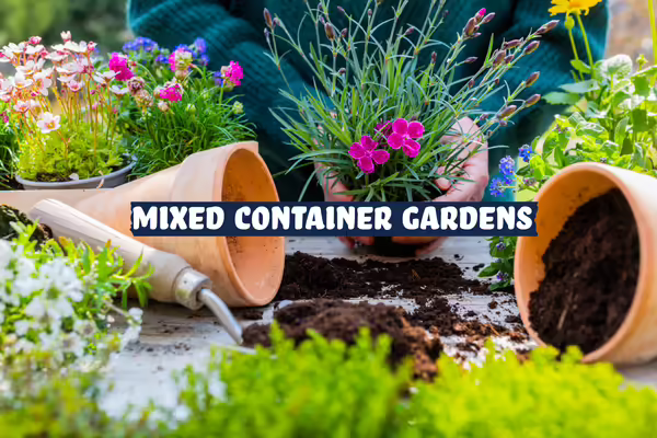 Flowerpots with flowers