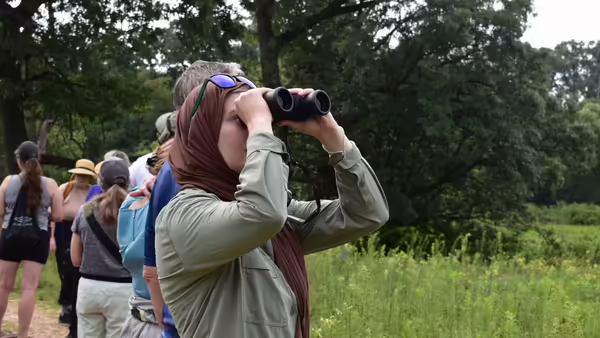 Volunteer looks out of their binoculars in a field.