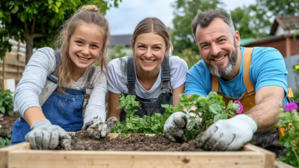 planting in a garden