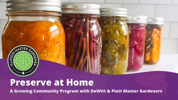 Preserve at Home A Growing Community Program with DeWitt & Piatt Master Gardeners text overlaying a purple background with canned vegetables pictured