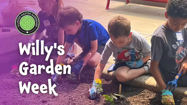 youth planting flowers
