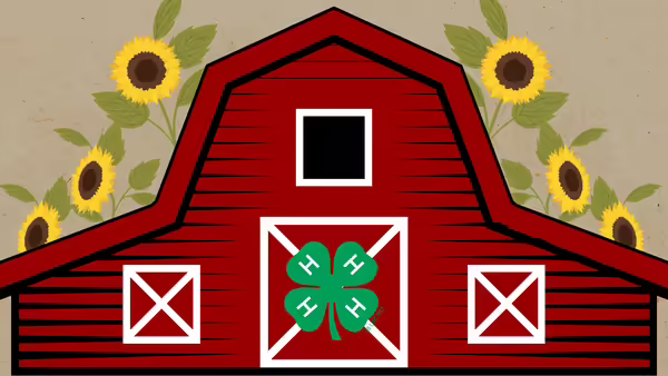 A barn with a 4-H clover logo on the center door and sunflowers behind it against a tan background.