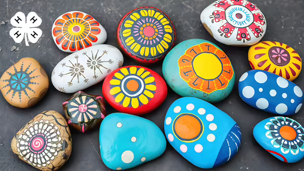 A collection of rocks painted with colorful, vibrant patterns. In the top left corner is a white 4-H clover logo.