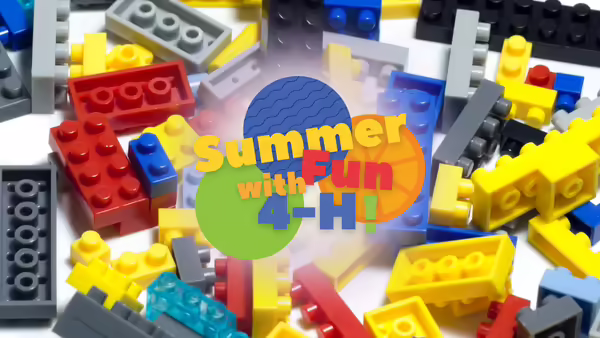 "Summer Fun with 4-H!" in front of building bricks