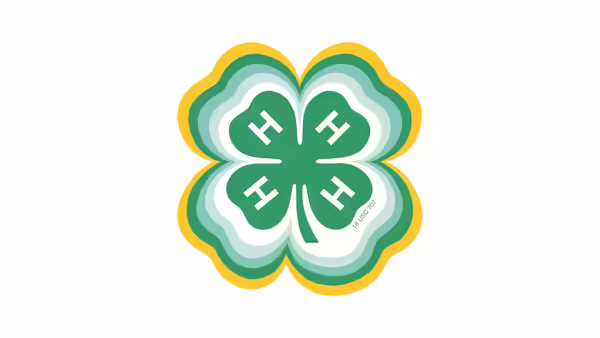 Radiating clover version of 4-H logo.