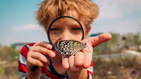 a young boy holding a butterfly and looking at it with a magnifying glass