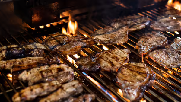 Pork chops are sizzling on a charcoal grill.