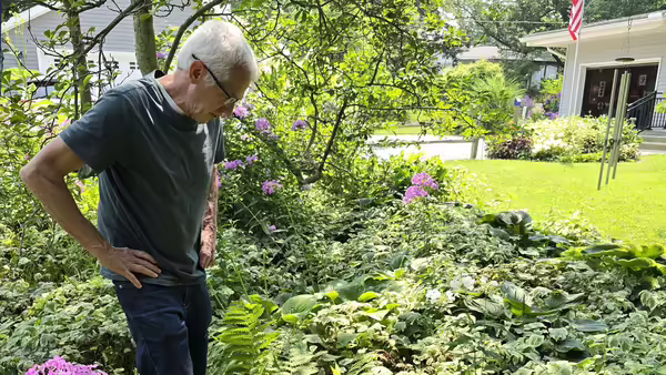 a man looking in a garden