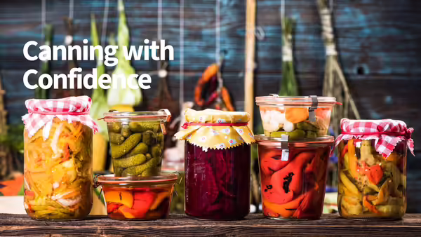 colorful variety of home canned vegetables