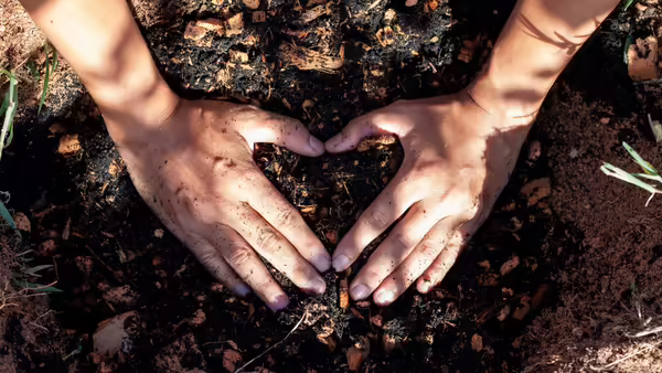 A pair of hands making a heart on top of a pile of compost 