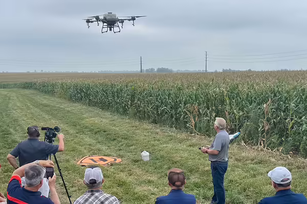 A group of people watching an Extension educator demonstrate flying a spray drone near a farm field.