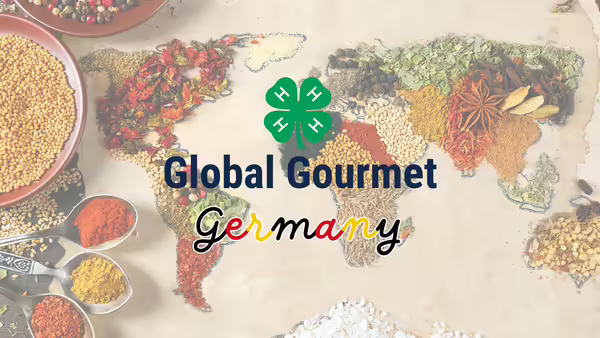 A variety of different spices from different parts of the world spilled out and shaped into the 7 continents. 