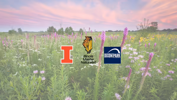 Prairie at sunset background with logos
