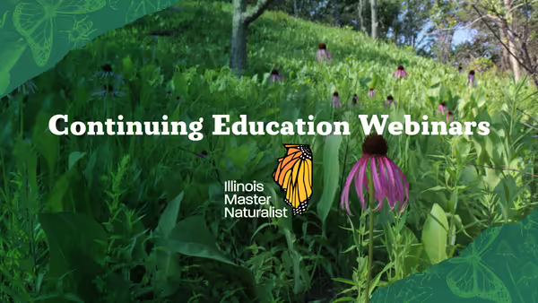 continuing education webinar