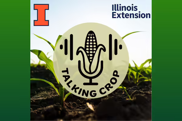 corn filed with talking crop logo