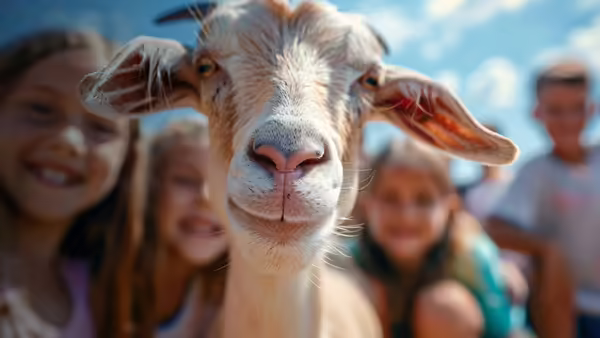 goat smiling with kids in the background