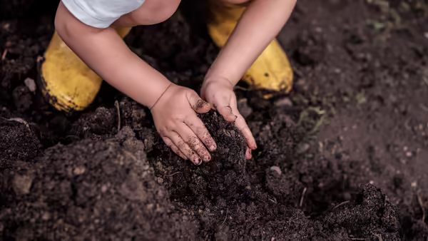 hands digging in garden soil 