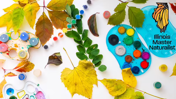 Colorful art supplies and leaves on top of a white background with the Master Naturalist logo