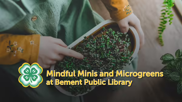 Mindful Minis and Microgreens at Bement Public Library text overlaying a picture of a youth member touching microgreens