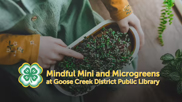 Mindful Mini and Microgreens at Goose Creek District Public Library text overlaying a picture of a youth member touching microgreens