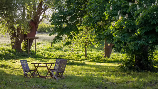 green summer lawn