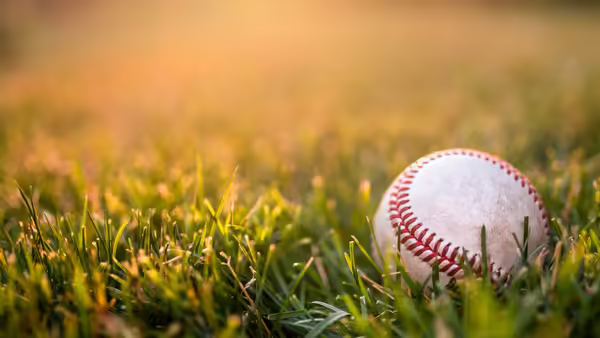baseball in grass